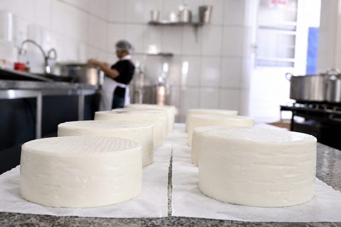 Produção é intensificada para 9ª Festa do Queijo