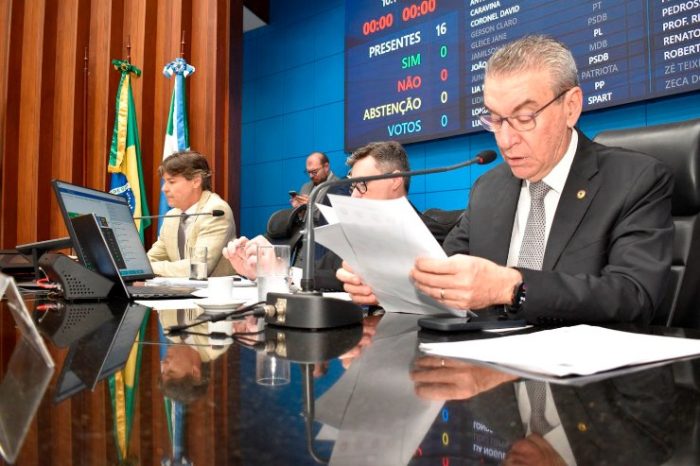 Projeto que reconhece tuiuiú como símbolo do Pantanal é aprovado