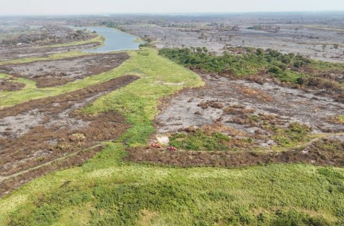 Proprietários rurais do Pantanal afetados pelos incêndios florestais devem ter condições especiais no FCO