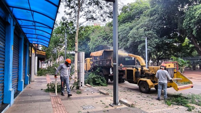 Referência para centros urbanos, arborização da 14 de Julho passa por nova manutenção