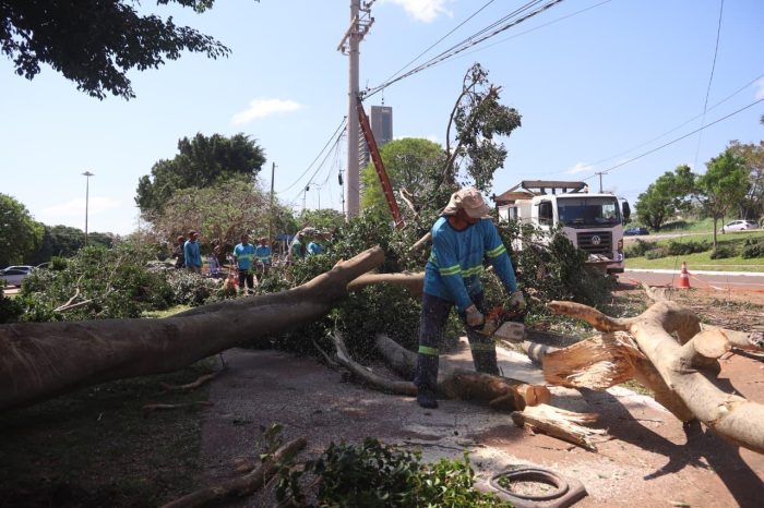 Repasse de R$ 496 mil autorizado pela união será destinado a ações emergenciais da defesa civil em Campo Grande