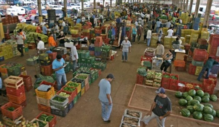 Rota dos alimentos saiba de onde vem os produtos mais vendidos na Ceasa de MS