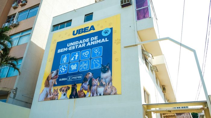 Subea identifica aumento na procura de atendimento para animais com sintomas gripais