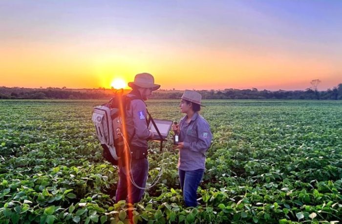 Sustentabilidade florestas plantadas em MS contribuem para a meta de carbono neutro