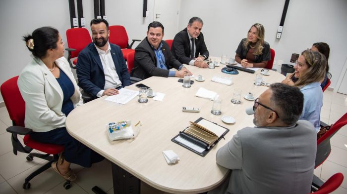 TCE-MS coordena primeira reunião do Grupo de Transparência da Rede de Controle de Mato Grosso do Sul