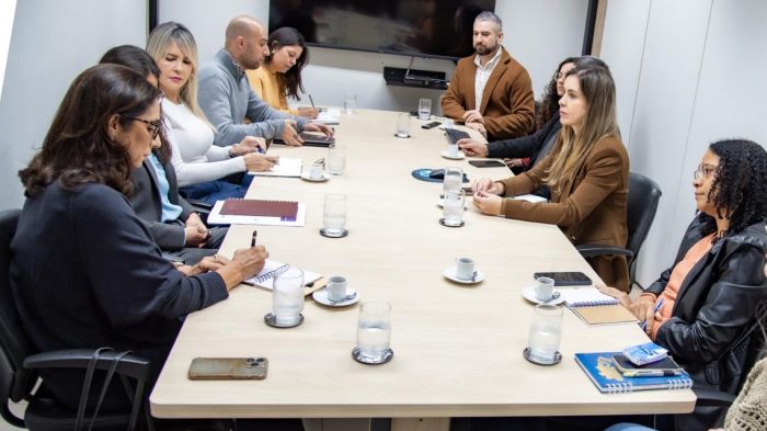 TCE-MS e CMB dialogam para que contratações públicas priorizem mulheres vítimas de violência