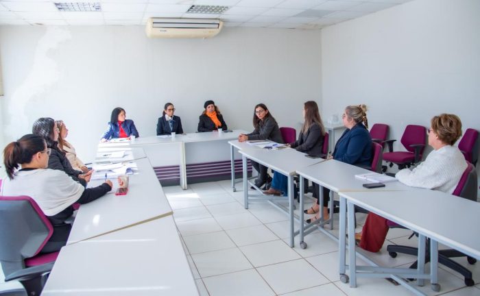 TCE-MS e CMB trabalham pela reinserção de mulheres vítimas de violência no mercado de trabalho