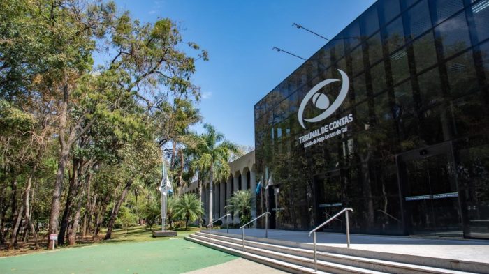 TCE-MS institui programa “Mulheres Além da Conta” e reserva vagas para vítimas de violência doméstica