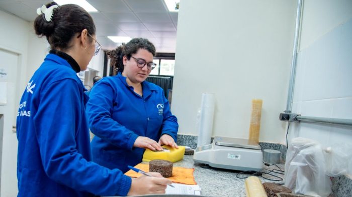 TCE-MS reforça fiscalização de obras e acompanha quase 2 bilhões em recursos públicos no primeiro semestre