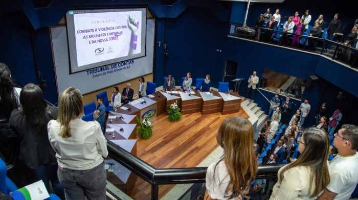 TCE-MS reúne especialistas para fortalecer a rede de enfrentamento à violência contra mulheres e meninas