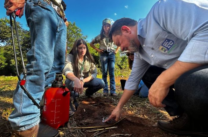 Tecnologia sementes de inovação plantadas há um ano no Pantanal começam a dar frutos
