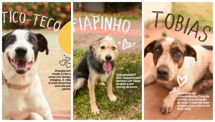 Tico-Teco, Fiapinho e Tobias esperam por você na Praça Bolívia