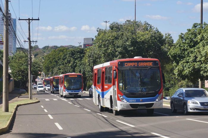 Transporte coletivo gratuito facilita deslocamento neste domingo