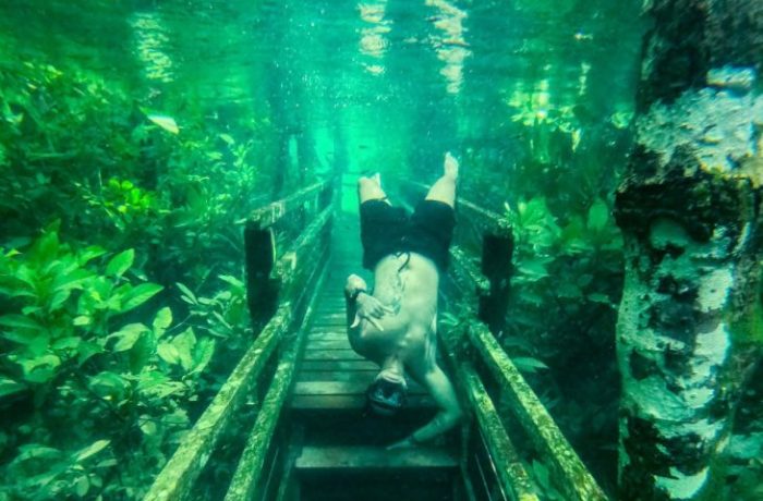 Trilha submersa ações de conservação do solo melhoram a qualidade da água nos rios de Jardim e Bonito