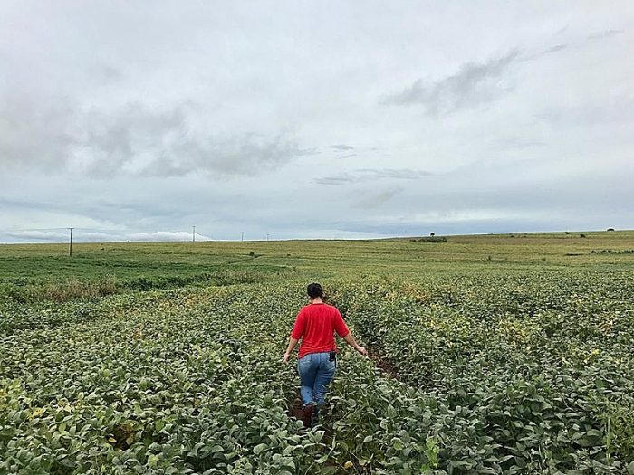 agropecuaria