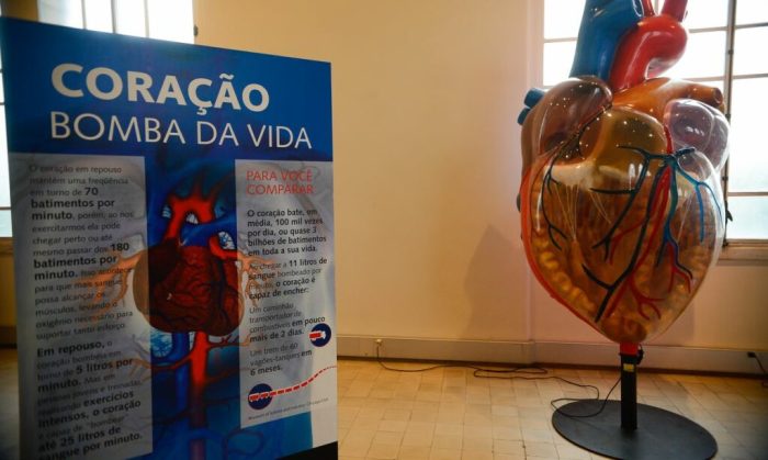 Rio de Janeiro - Exposição Vias do Coração no Museu da Vida, no Castelo da Fiocruz,  divulga o conhecimento sobre o coração, para estimular a prevenção das doenças cardiovasculares (Tomaz Silva/Agência Brasil)