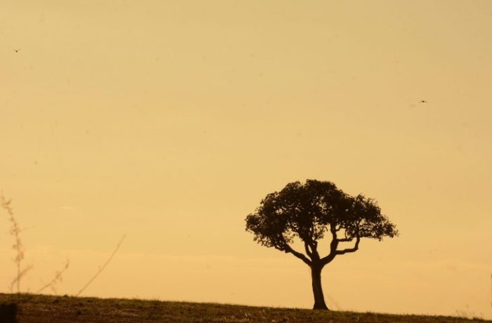 chuvas abaixo da média e altas temperaturas permanecem nos próximos meses