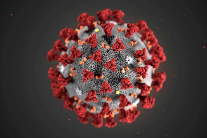 FILE PHOTO: The ultrastructural morphology exhibited by the 2019 Novel Coronavirus (2019-nCoV), which was identified as the cause of an outbreak of respiratory illness first detected in Wuhan, China, is seen in an illustration released by the Centers for Disease Control and Prevention (CDC) in Atlanta, Georgia, U.S. January 29, 2020. Alissa Eckert, MS; Dan Higgins, MAM/CDC/Handout via REUTERS.  THIS IMAGE HAS BEEN SUPPLIED BY A THIRD PARTY. MANDATORY CREDIT/File Photo