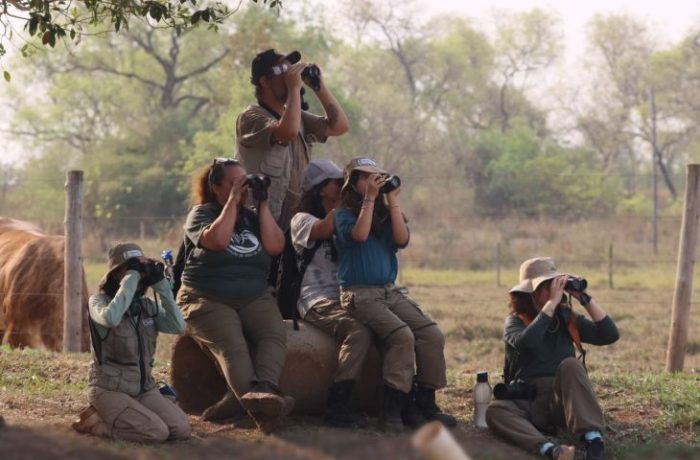 desafio de observação de aves registra 345 espécies em MS
