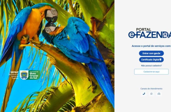efazenda-novo