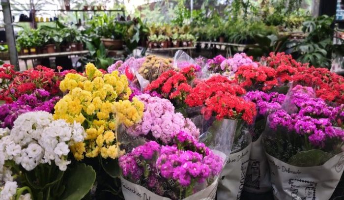 flores e velas apresentam variação de até 242% em Campo Grande