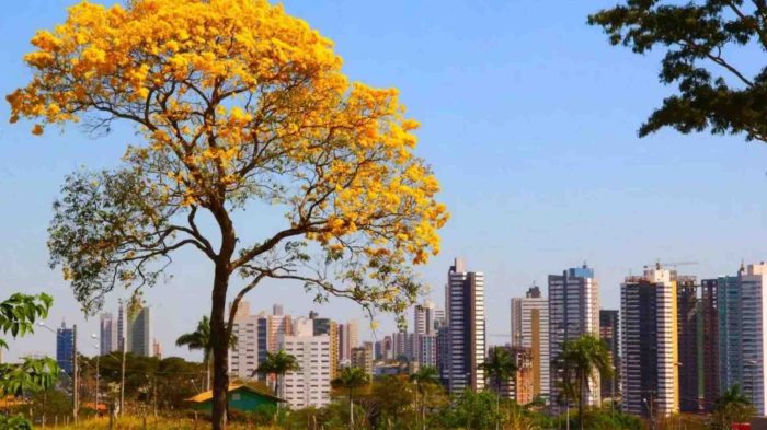 imoveis-valorizacao