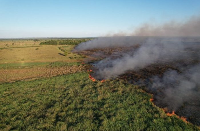 incendio-floresta-BR-487_navirai