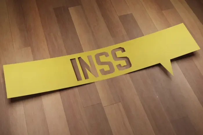 inss1
