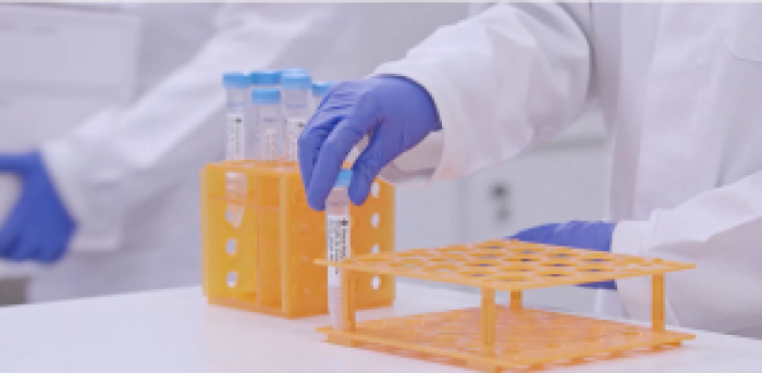 laboratorio
