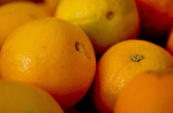 laranja-agencia-brasi