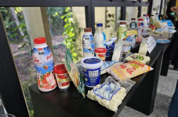 produtos-lacteos-de-MS
