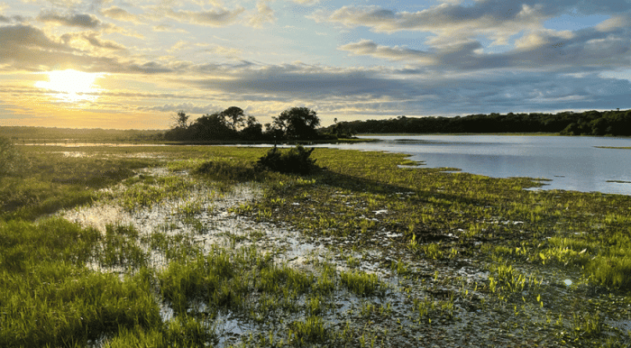 programa-pantanal